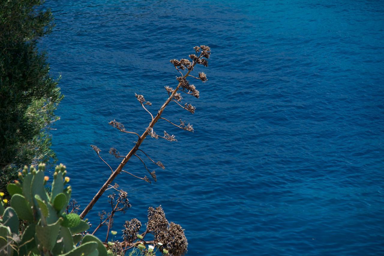 Villa Apoplous With Pool Asos Exterior foto